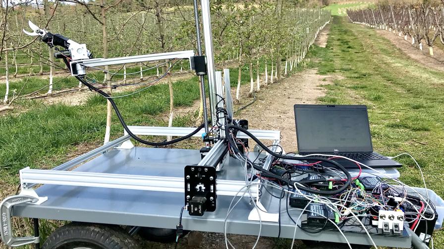 New apple pruning system tested in the field