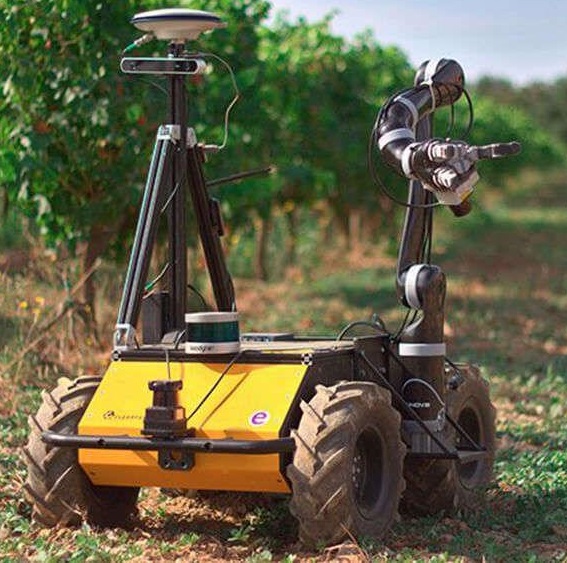 Роботи змінюють майбутнє сільського господарства