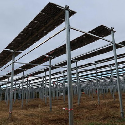 У Франції насадження захищені сонячними панелями