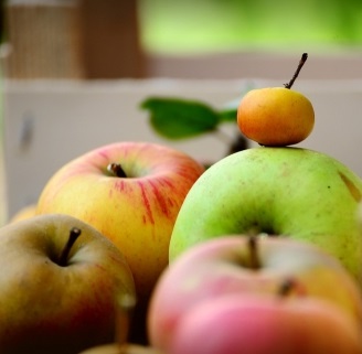 Нові сорти яблук стають новими фаворитами ринку, ціни на які значно перевищують Фуджі